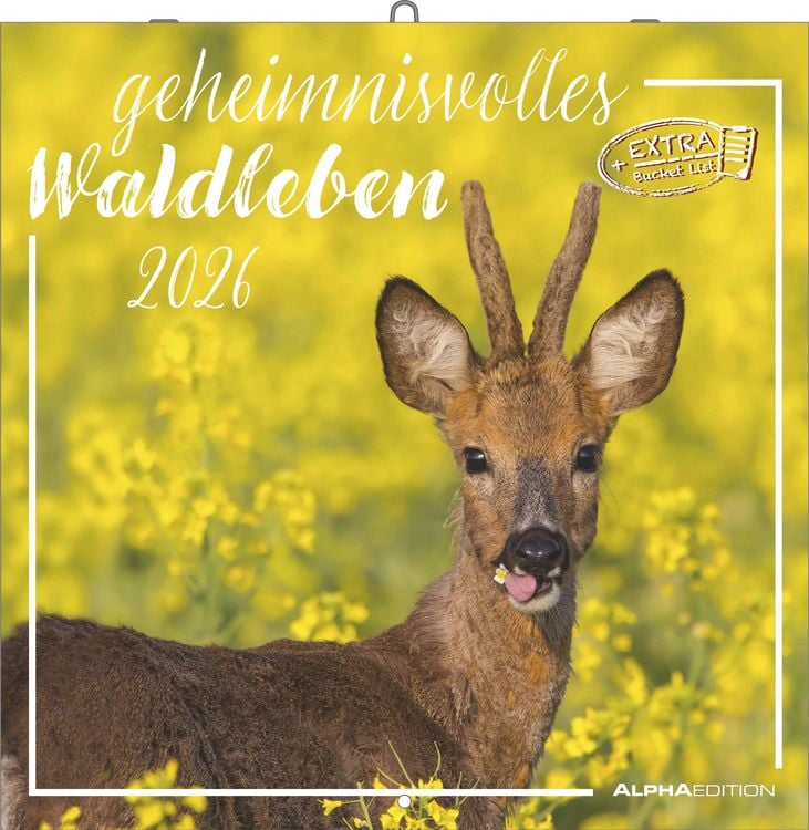 Bild vom Artikel Geheimnisvolles Waldleben 2026 - Broschürenkalender 30x30 cm (30x60 geöffnet) - Kalender mit Platz für Notizen - Forest Animals - Bildkalender - Wandk vom Autor Alpha Edition