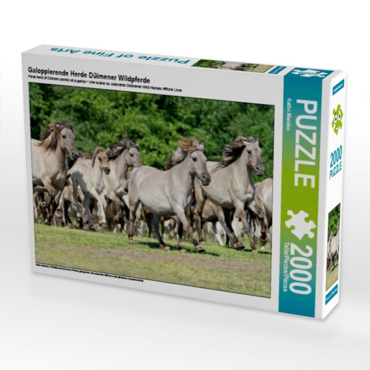 Produktbild: Galoppierende Herde D&uuml;lmener Wildpferde (Puzzle)