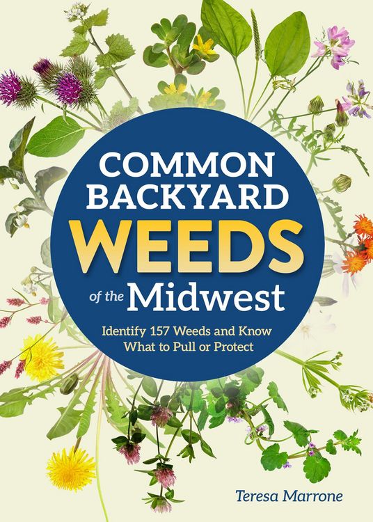 Produktbild: Common Backyard Weeds of the Midwest