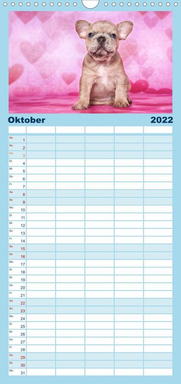 Produktbild: Bullys - Franz&ouml;sische Bulldoggen 2022 - Familienplaner hoch (Wandkalender 2022 , 21 cm x 45 cm, hoch)