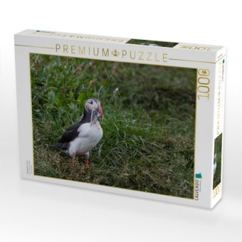 Produktbild: CALVENDO Puzzle Papageientaucher | 1000 Teile Lege-Gr&ouml;&szlig;e 64x48cm Foto-Puzzle f&uuml;r gl&uuml;ckliche Stunden