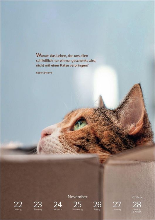 Produktbild: Literaturkalender Katzen Wochen-Kulturkalender 2027