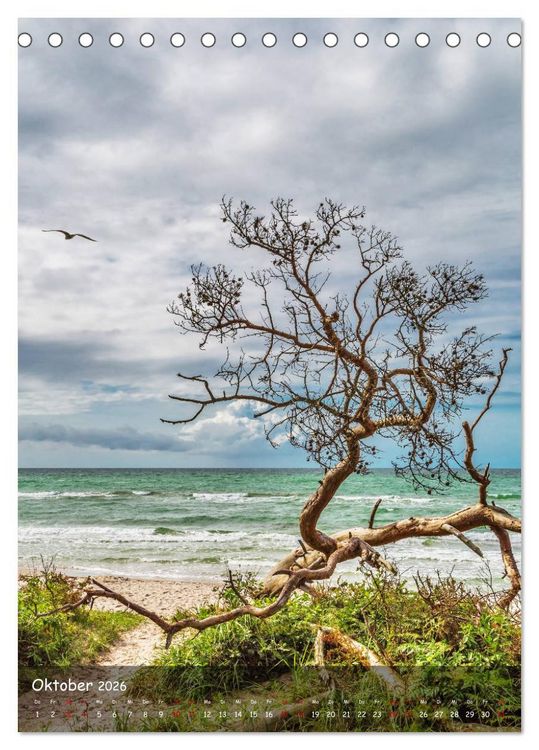 Produktbild: Wunderbare Ostseelandschaft Fischland-Dar&szlig;-Zingst (Tischkalender 2026 DIN A5 hoch), CALVENDO Monatskalender
