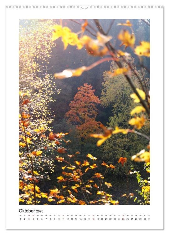 Produktbild: Mein Sehnsuchtsort, der Wald (Wandkalender 2026 DIN A2 hoch), CALVENDO Monatskalender
