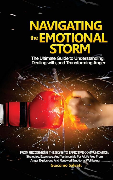 Produktbild: Navigating the Emotional Storm