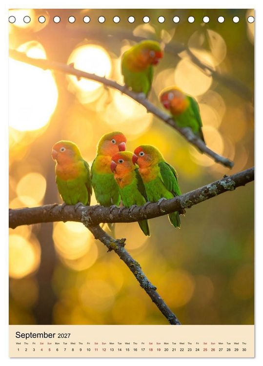 Produktbild: Little Birds in Love (Desk Calendar 2027 DIN A5 portrait), CALVENDO 12 Month DeskCalendar