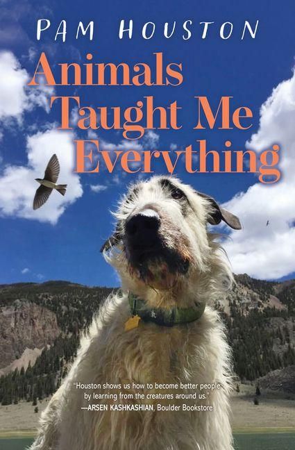 Produktbild: Animals Taught Me Everything