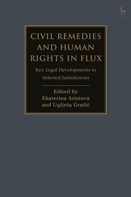Produktbild: Civil Remedies and Human Rights in Flux