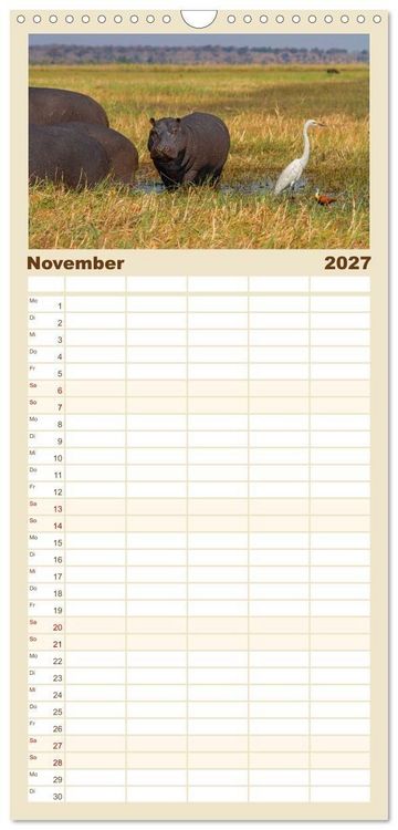 Produktbild: Familienplaner 2027 - Hippos - Gef&auml;hrliche Giganten mit 5 Spalten (Wandkalender, 21 x 45 cm) CALVENDO