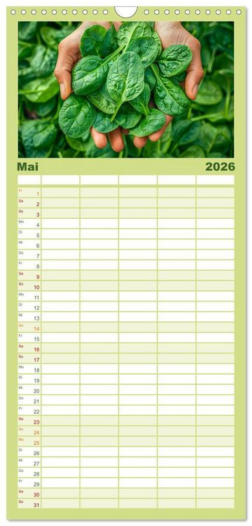 Produktbild: Familienplaner 2026 - Mein Gem&uuml;segarten - Ein Jahr knackig frisches Gem&uuml;se mit 5 Spalten (Wandkalender, 21 x 45 cm) CALVENDO