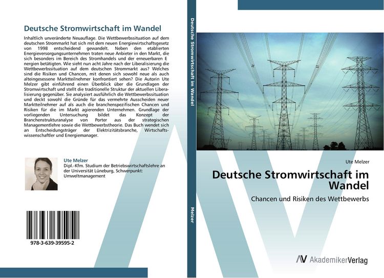 Produktbild: Deutsche Stromwirtschaft im Wandel