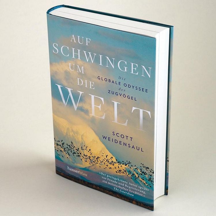 Produktbild: Auf Schwingen um die Welt