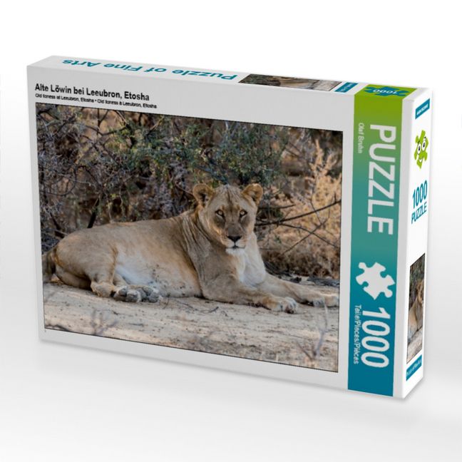 Produktbild: CALVENDO Puzzle Alte L&ouml;win bei Leeubron, Etosha | 1000 Teile Lege-Gr&ouml;&szlig;e 64x48cm Foto-Puzzle f&uuml;r gl&uuml;ckliche Stunden