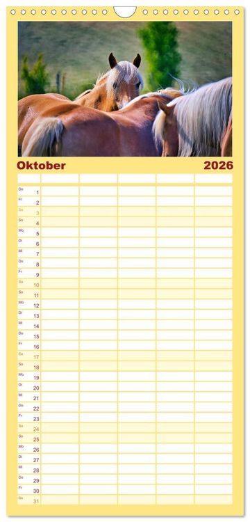 Produktbild: Familienplaner 2026 - Die besonderen Haflinger-Pferde mit 5 Spalten (Wandkalender, 21 x 45 cm) CALVENDO