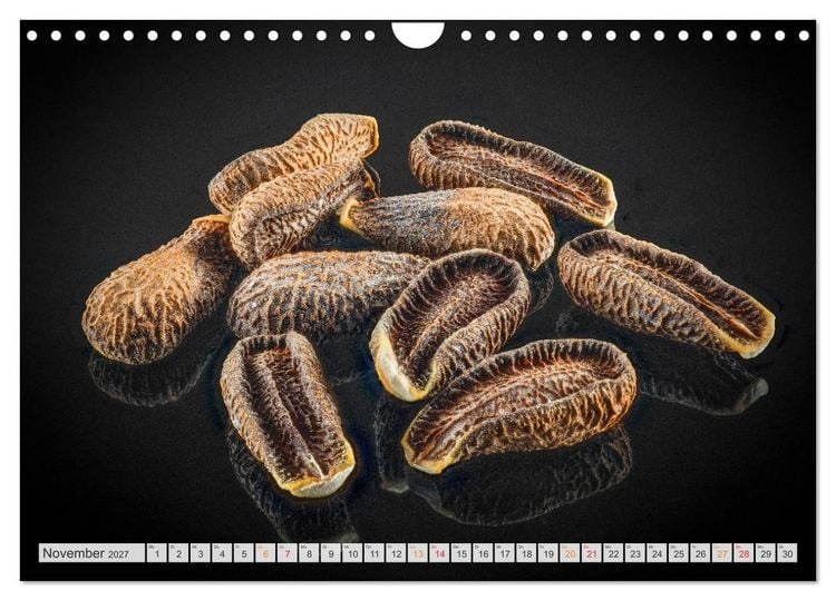Produktbild: Zauber der kleinen Dinge (Wandkalender 2027 DIN A4 quer), CALVENDO Monatskalender