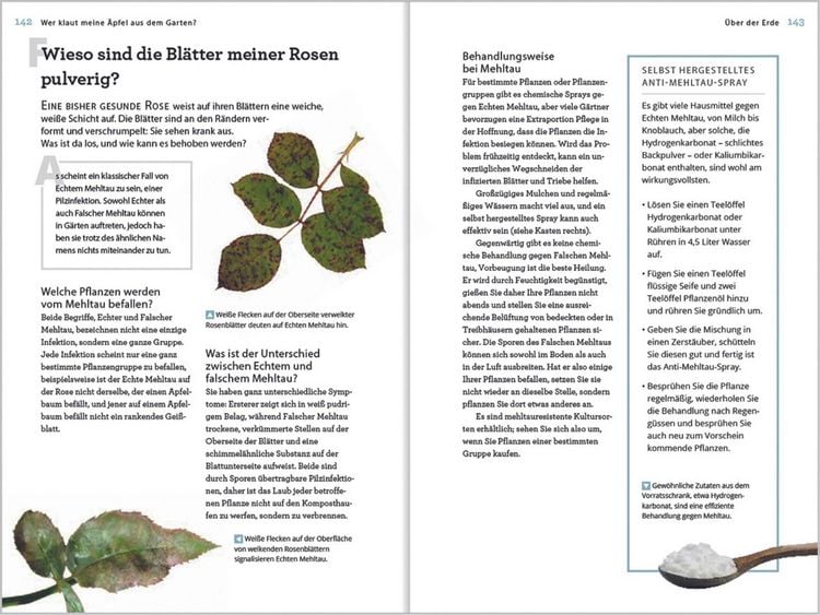 Produktbild: Wer klaut meine &Auml;pfel aus dem Garten