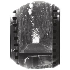 Produktbild: Winter Forever (Bone & Silver Swirl Vinyl)