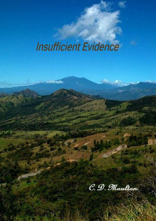 Produktbild: Insufficient Evidence