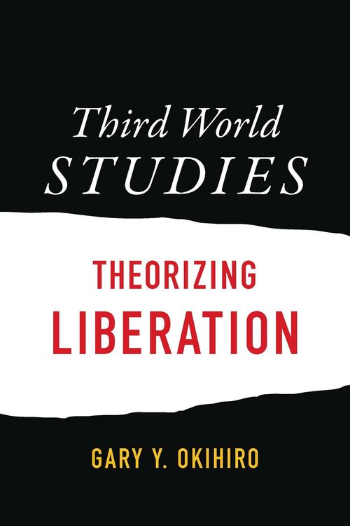 Produktbild: Third World Studies