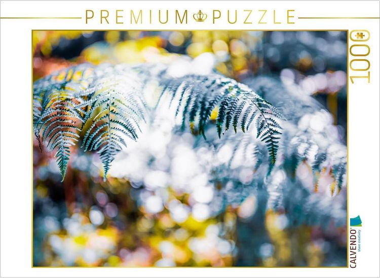 Produktbild: CALVENDO Puzzle Farnwedel im Lichtertanz | 1000 Teile Lege-Gr&ouml;&szlig;e 64x48cm Foto-Puzzle f&uuml;r gl&uuml;ckliche Stunden