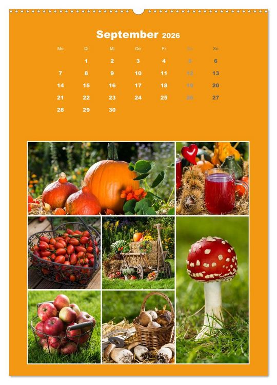 Produktbild: Der kunterbunte Collagen Kalender (hochwertiger Premium Wandkalender 2026 DIN A2 hoch), Kunstdruck in Hochglanz
