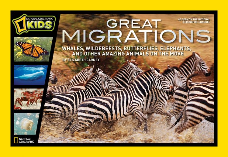 Produktbild: Great Migrations