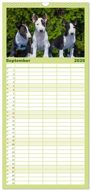 Produktbild: Familienplaner 2026 - Welpen 2026 mit 5 Spalten (Wandkalender, 21 x 45 cm) CALVENDO