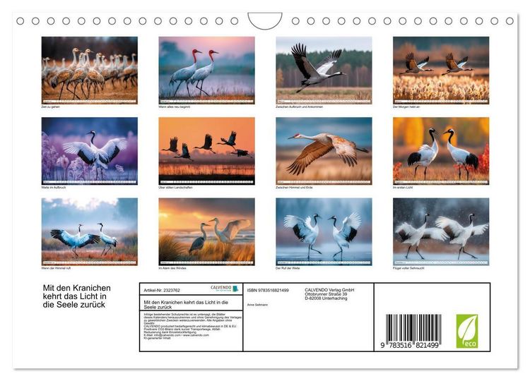 Produktbild: Mit den Kranichen kehrt das Licht in die Seele zur&uuml;ck (Wandkalender 2027 DIN A4 quer), CALVENDO Monatskalender