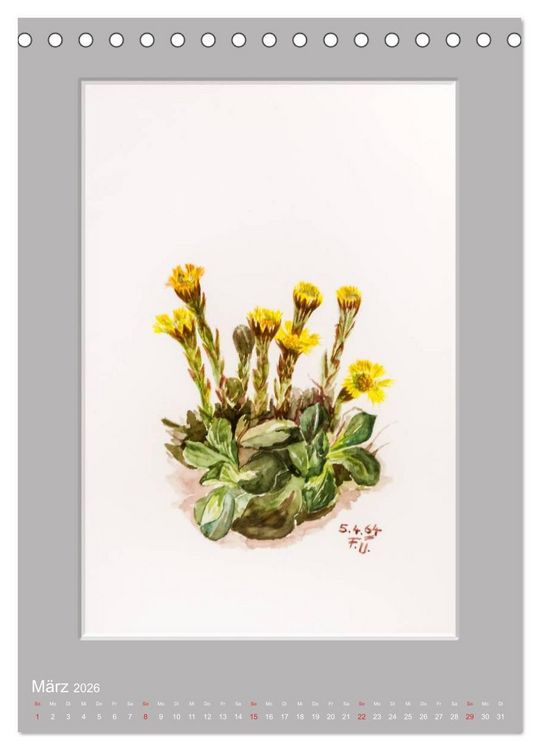 Produktbild: Alpenblumen Aquarelle aus Tirol (Tischkalender 2026 DIN A5 hoch), CALVENDO Monatskalender