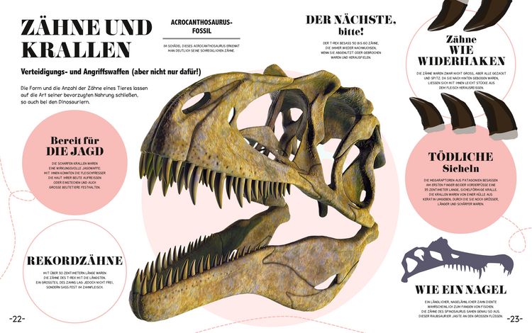 Produktbild: 5-Minuten Wissen Dinosaurier