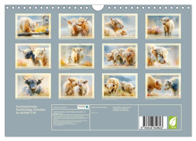 Produktbild: Hochlandrinder. Sanftm&uuml;tige Schotten im dichten Fell (Wandkalender 2027 DIN A4 quer), CALVENDO Monatskalender