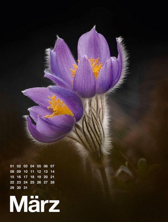 Produktbild: Fr&uuml;hling, Sommer, Herbst & Winter Kalender 2027