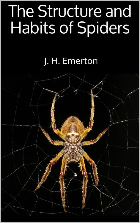 Produktbild: The Structure and Habits of Spiders