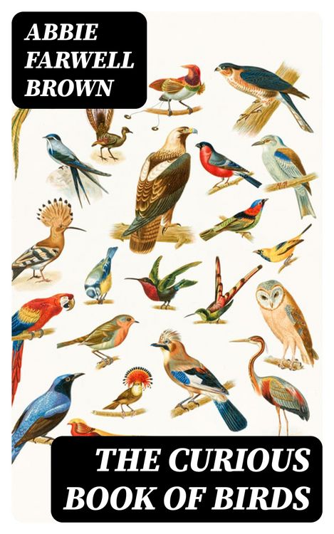 Produktbild: The Curious Book of Birds