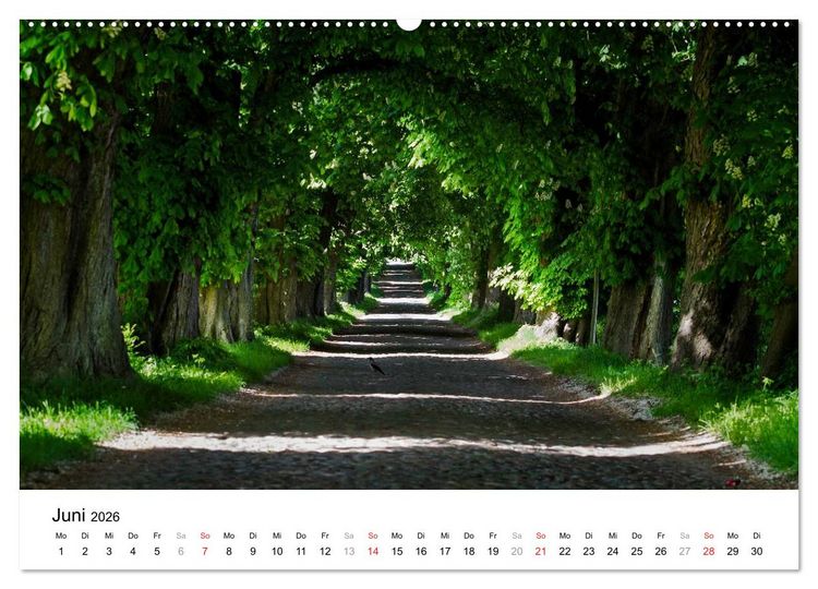 Produktbild: R&uuml;gen (hochwertiger Premium Wandkalender 2026 DIN A2 quer), Kunstdruck in Hochglanz