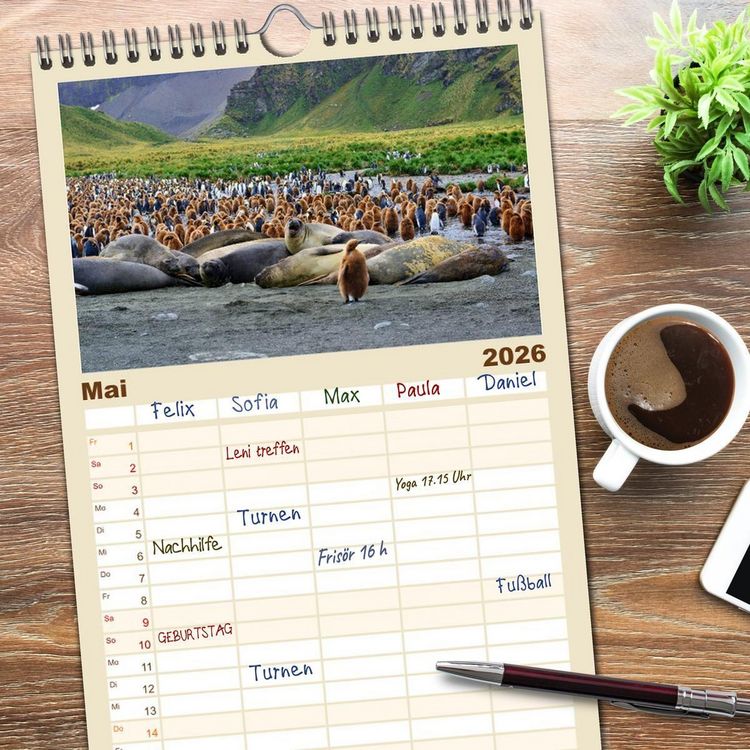 Produktbild: Familienplaner 2026 - Im Reich der Pinguine mit 5 Spalten (Wandkalender, 21 x 45 cm) CALVENDO
