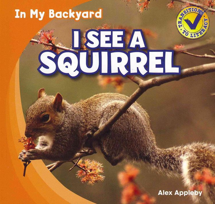 Produktbild: I See a Squirrel