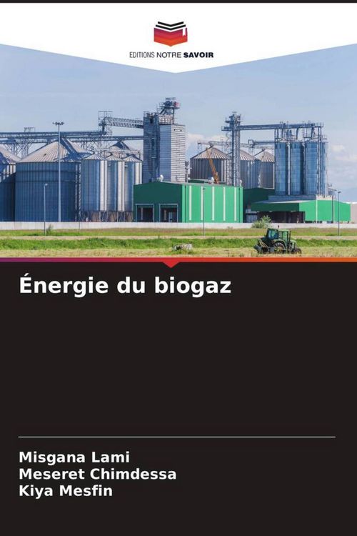 Produktbild: &Eacute;nergie du biogaz