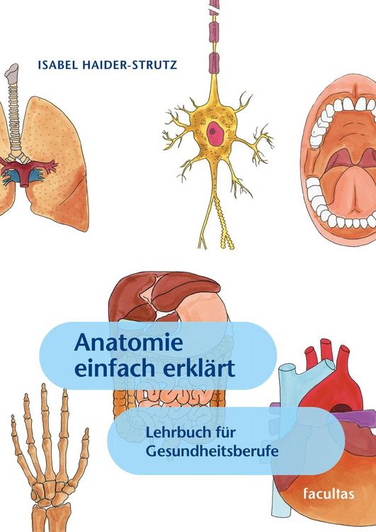 Produktbild: Anatomie einfach erkl&auml;rt