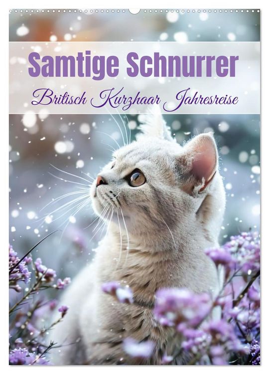 Produktbild: Samtige Schnurrer (Wandkalender 2026 DIN A2 hoch), CALVENDO Monatskalender
