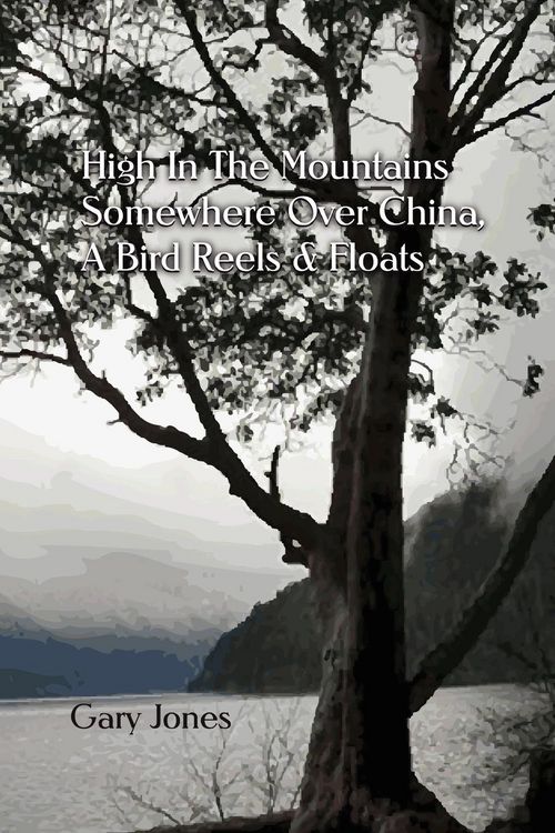 Produktbild: High In the Mountains Somewhere Over China, A Bird Reels & Floats