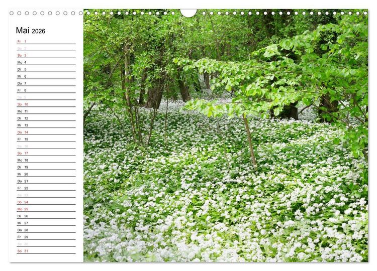 Produktbild: Die Jahreszeiten im Havelland (Wandkalender 2026 DIN A3 quer), CALVENDO Monatskalender
