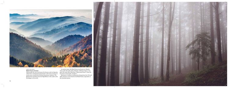 Produktbild: Forests