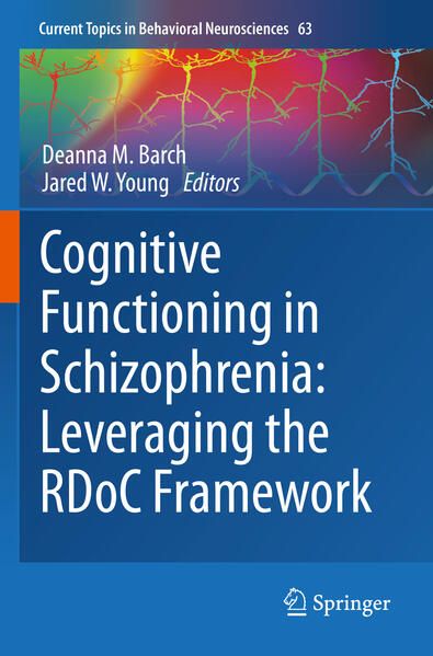 Produktbild: Cognitive Functioning in Schizophrenia: Leveraging the RDoC Framework