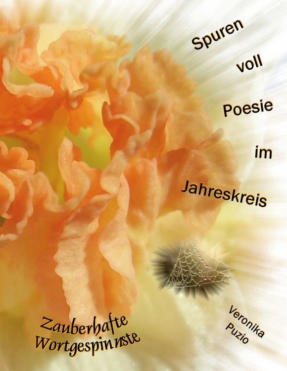 Produktbild: Spuren voll Poesie im Jahreskreis