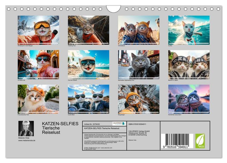 Produktbild: KATZEN-SELFIES Tierische Reiselust (Wandkalender 2026 DIN A4 quer), CALVENDO Monatskalender
