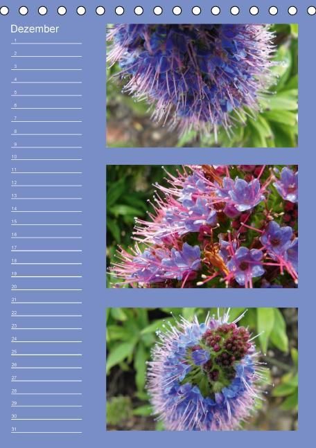 Produktbild: Zauberwelt der Blumen - Eiskristalle & Wasserperlen / Geburtstagskalender (Tischkalender immerw&auml;hrend DIN A5 hoch)