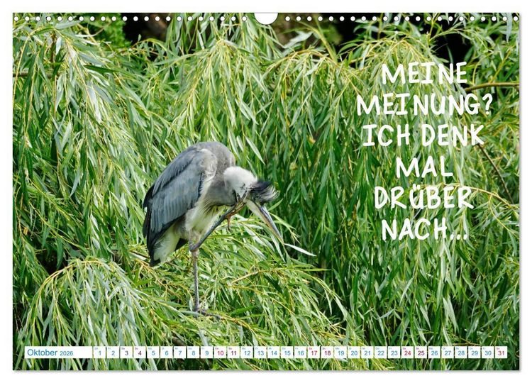 Produktbild: Humorvolles aus der Tierwelt (Wandkalender 2026 DIN A3 quer), CALVENDO Monatskalender