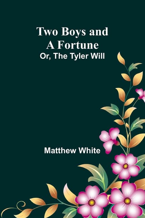 Produktbild: Two Boys and a Fortune; Or, The Tyler Will