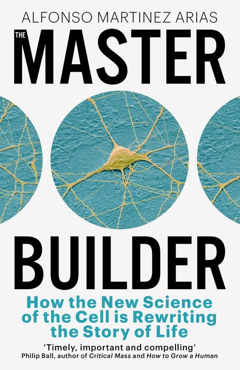 Produktbild: The Master Builder